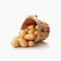 پخش میوه بسته بندی
