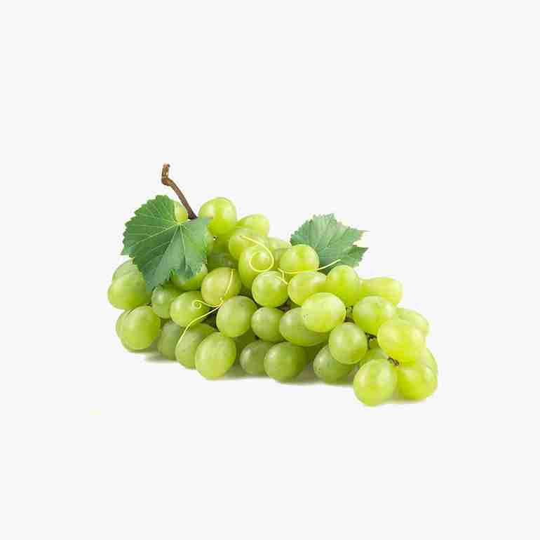قیمت میوه عمده تهران