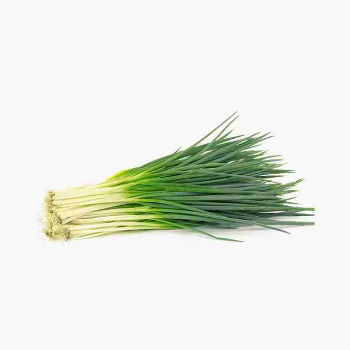 عمده فروشی میوه و تره بار