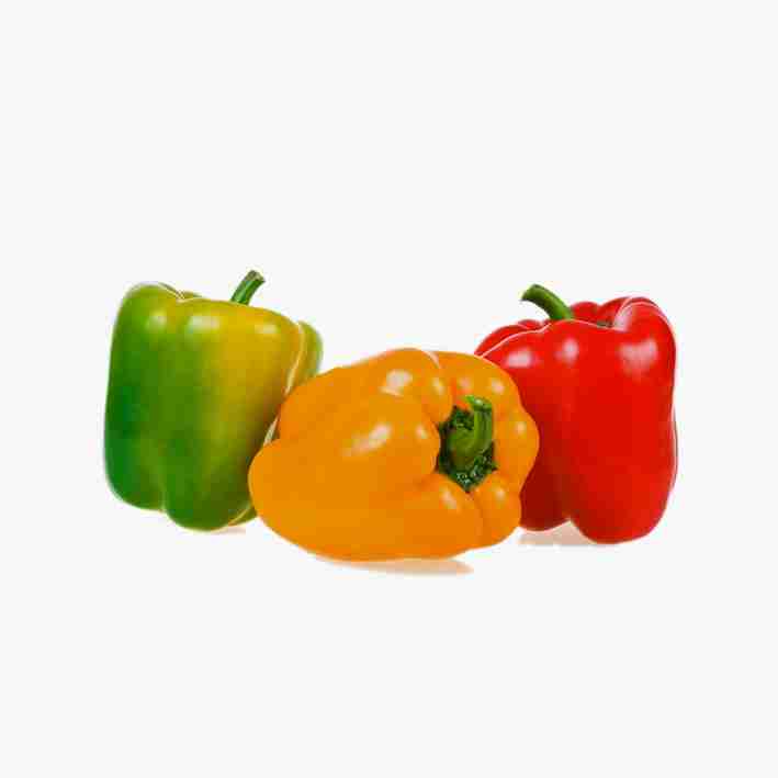 عمده فروشی میوه و تره بار