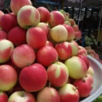 میوه عمده از کجا بخرم
