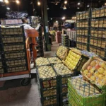 پخش میوه و تره بار