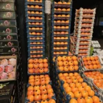 شرکت پخش تره بار و میوه عمده