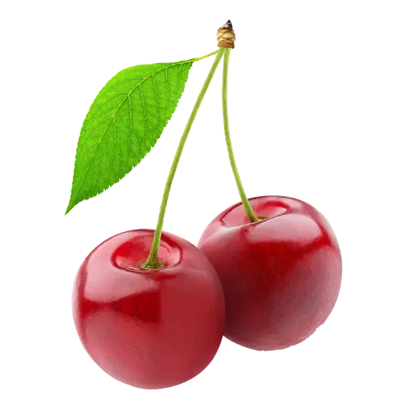 خرید میوه تازه ارگانها