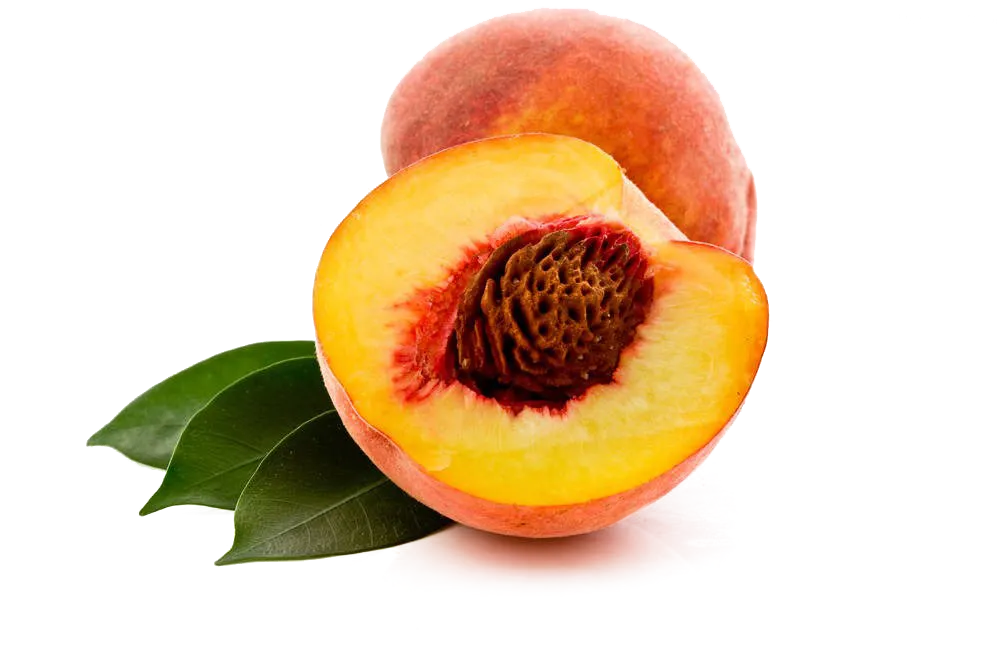 خرید میوه عمده